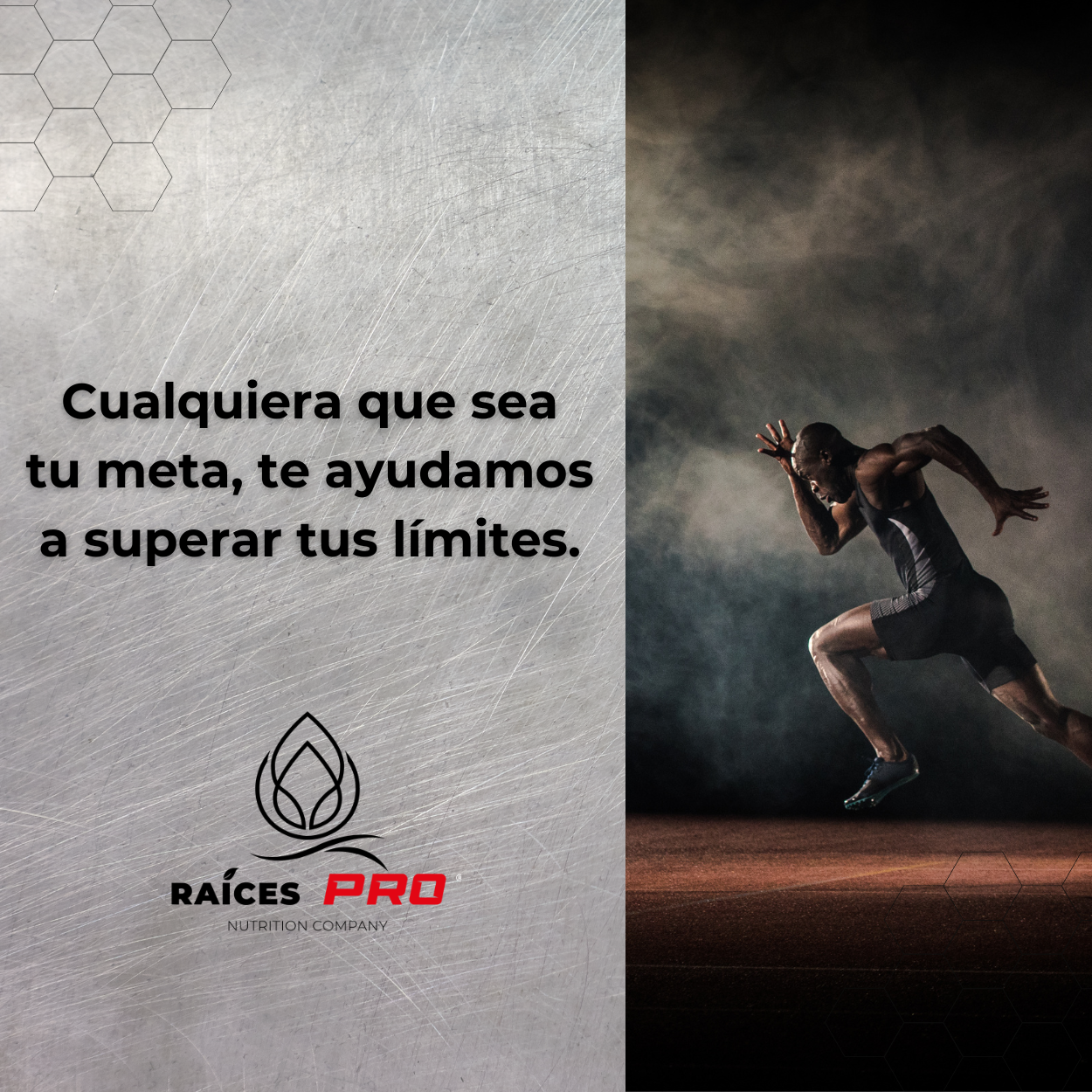 L Carnitina Super Premium 100 Cápsulas Raíces Pro