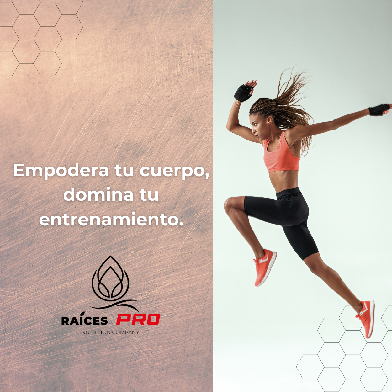 L Carnitina Super Premium 100 Cápsulas Raíces Pro